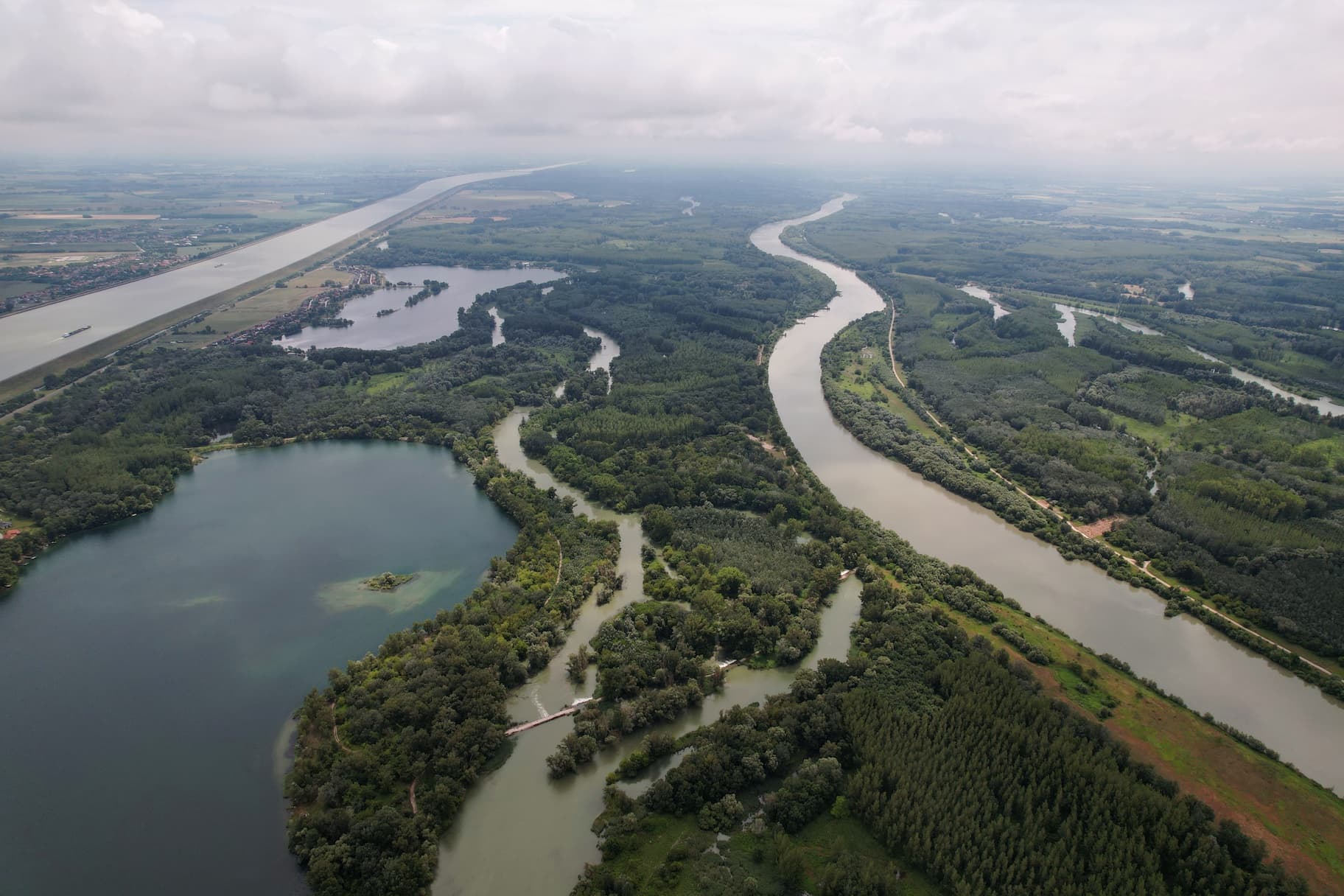 Picture of a Freshwater habitat