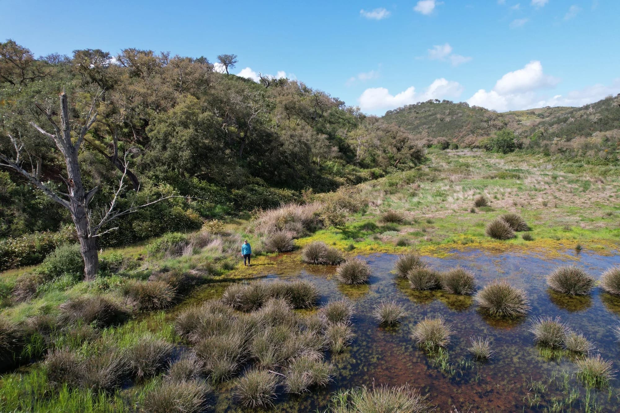 A wetland restored among cork oak hills in the Mira valley