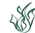 Fund neglected species & ecosystems icon