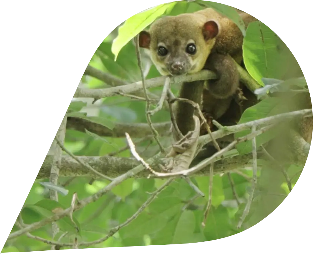 Wilder Yasuni