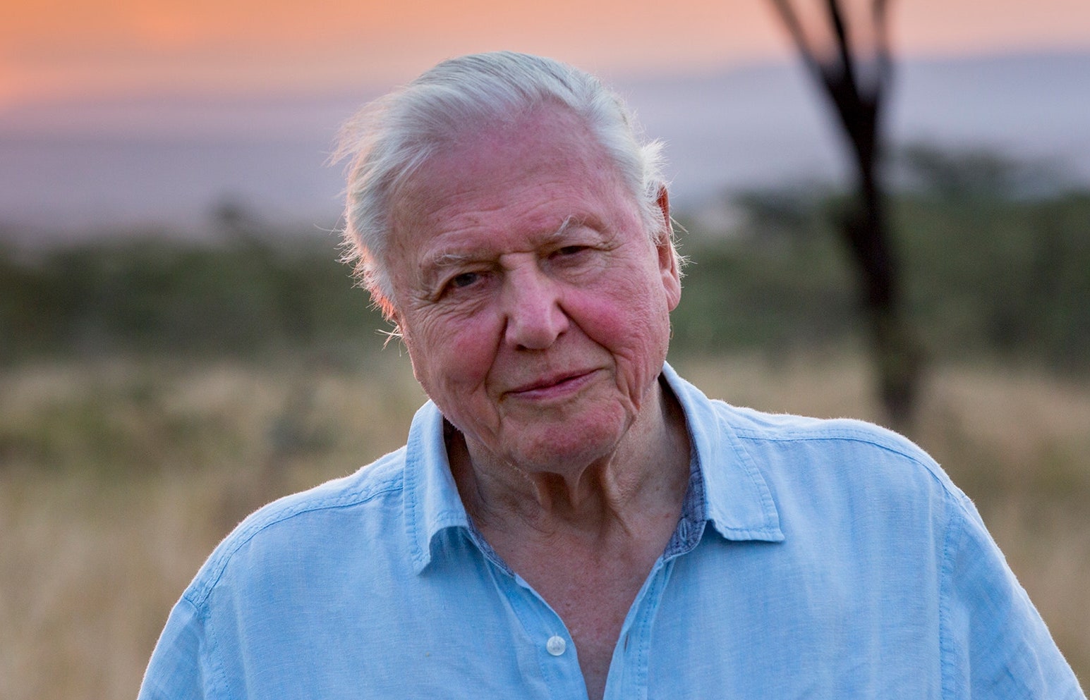 David Attenborough in savannah