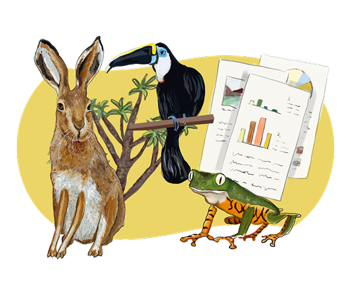 Illustration of a hare, toucan and frog beside impact report charts